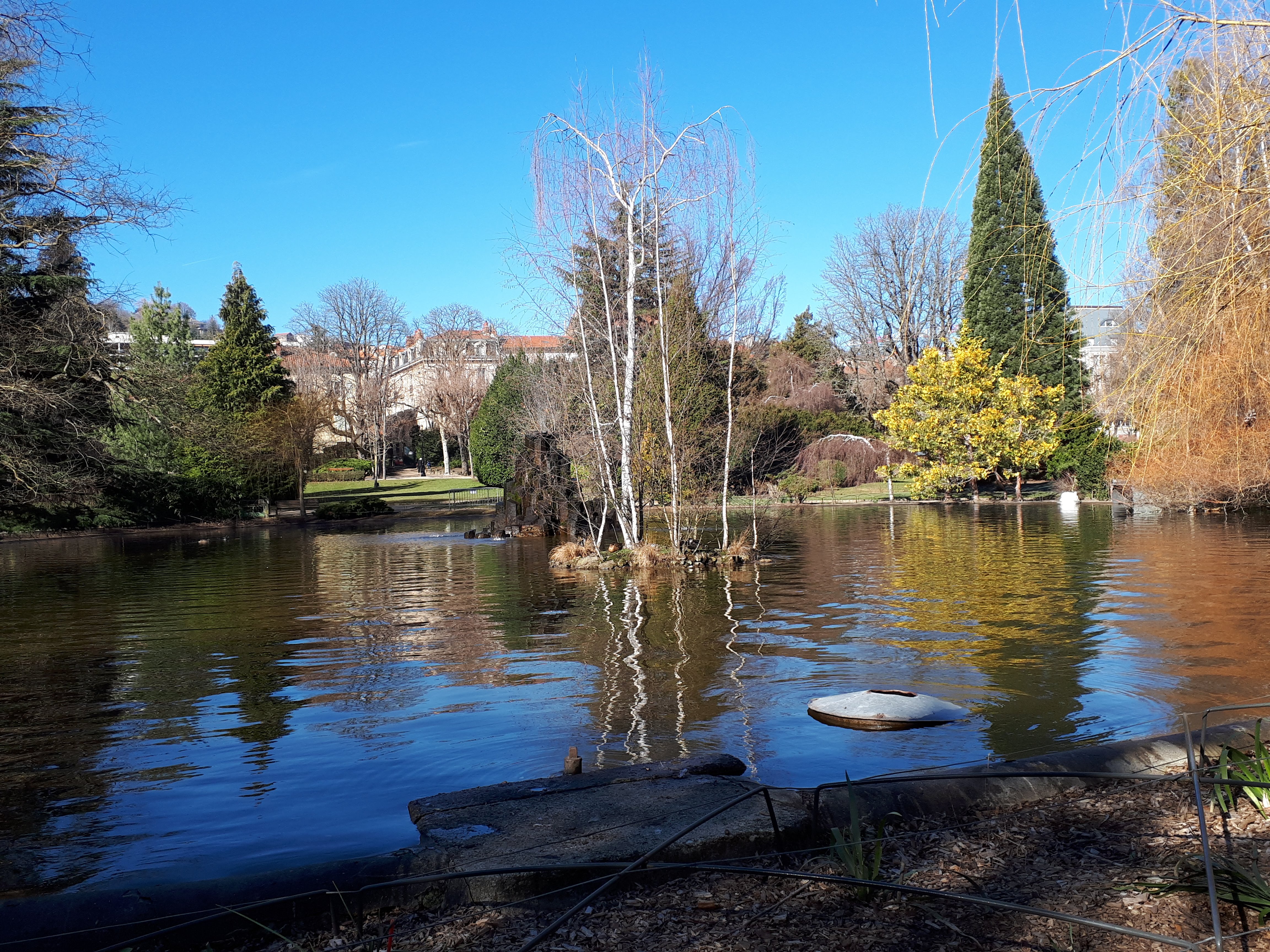 20190227_110313.jpg